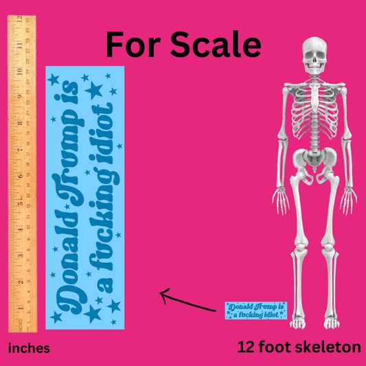 'Donald Trump is a Fucking Idiot' Bumper Sticker