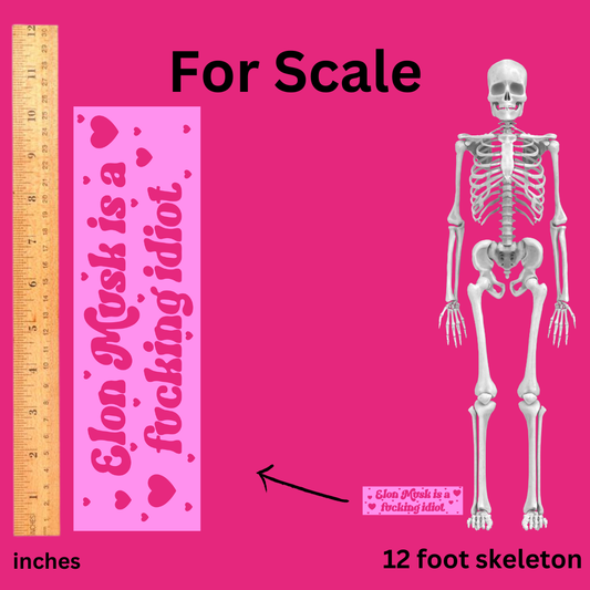 'Elon Musk is a Fucking Idiot' Bumper Sticker