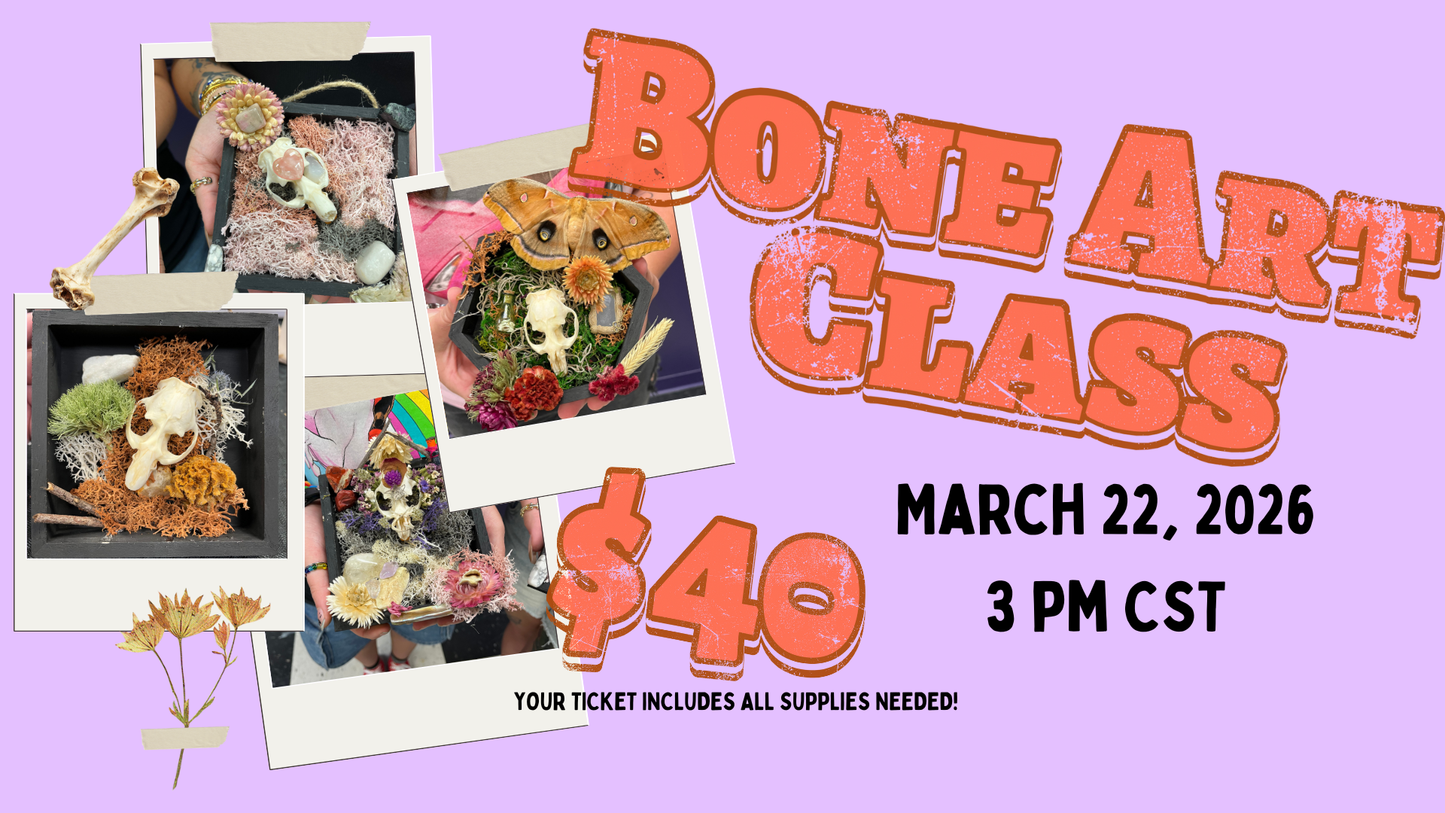 Animal Bone Art Class - March 2026