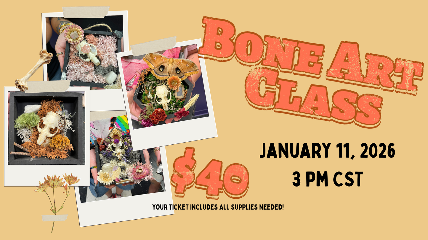 Animal Bone Art Class - January 2026