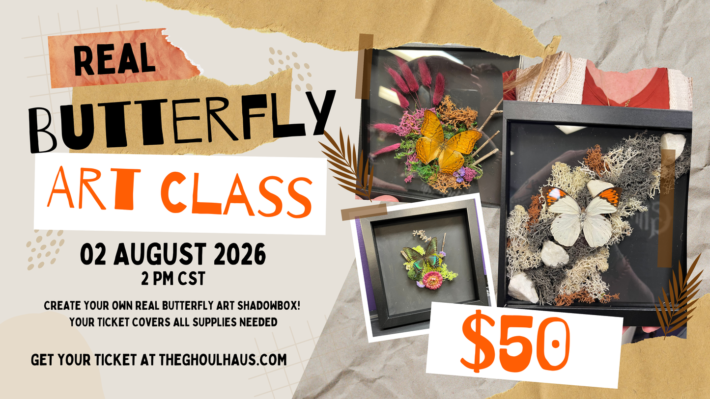 Real Butterfly Art Class - August