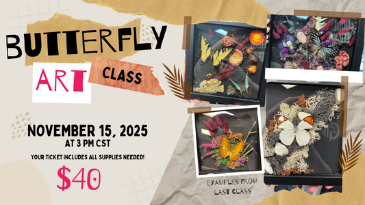 Butterfly Art Class