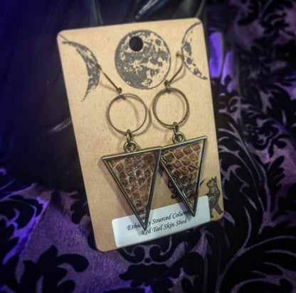 Snakeskin Shed Antique Brass Triangle (Earrings)