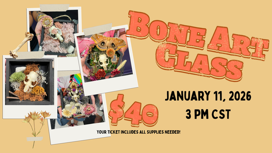 Animal Bone Art Class - January 2026