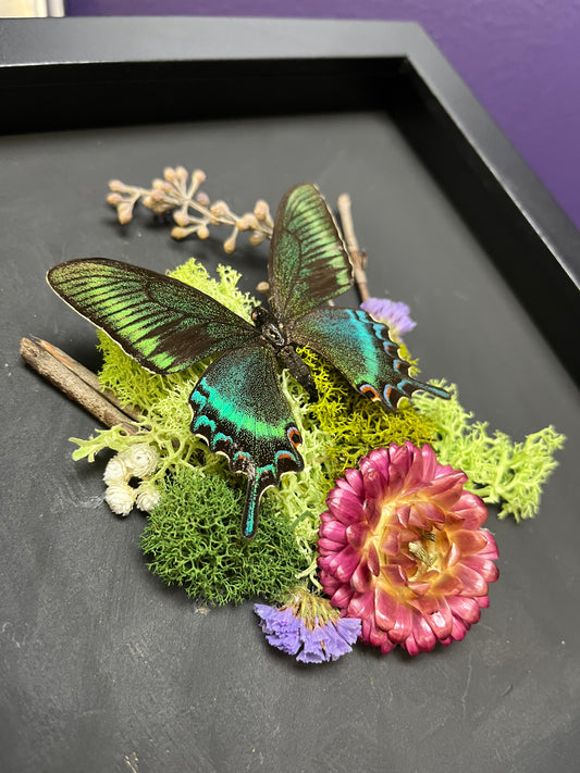 Butterfly Art Class