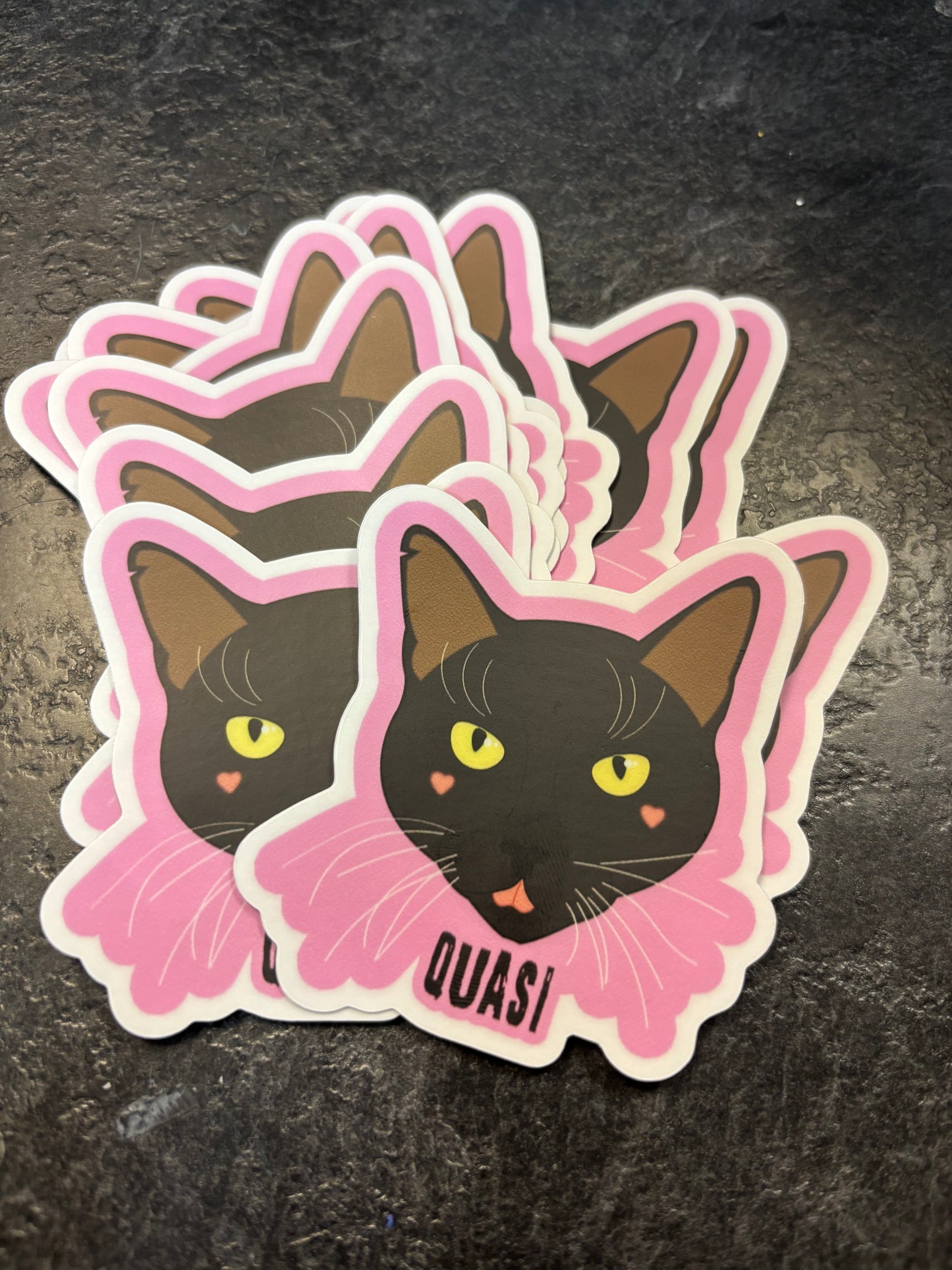 Quasi Black Cat Care Donation Sticker