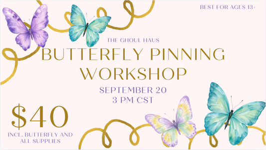 Butterfly Pinning Workshop