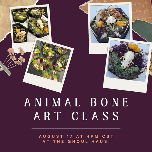 Animal Bone Art Class - August 17