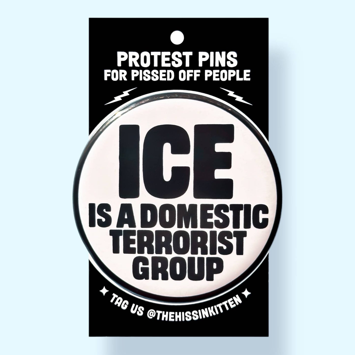 ICE Is a Domestic Terrorist Group Pin
