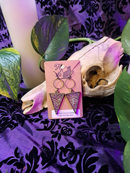 Snakeskin Shed Antique Brass Triangle (Earrings)