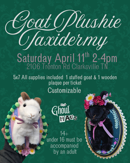 Plushie Taxidermy Class