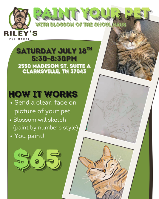 Paint your Pet at Riley's Pet Market